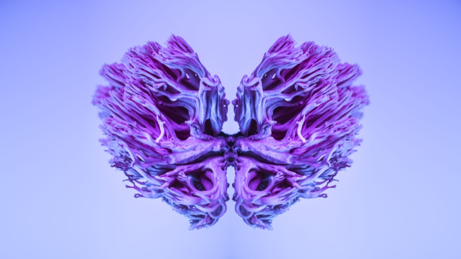 Abstract purple brain-like form