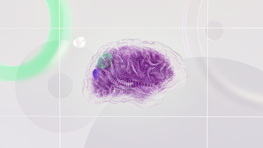 Digital model of the brain