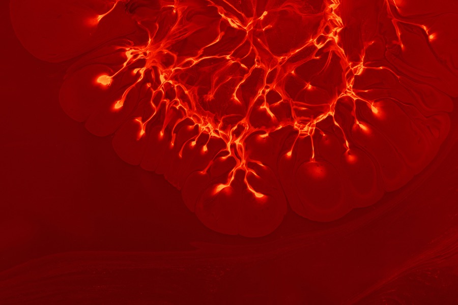 Abstract neural pathways